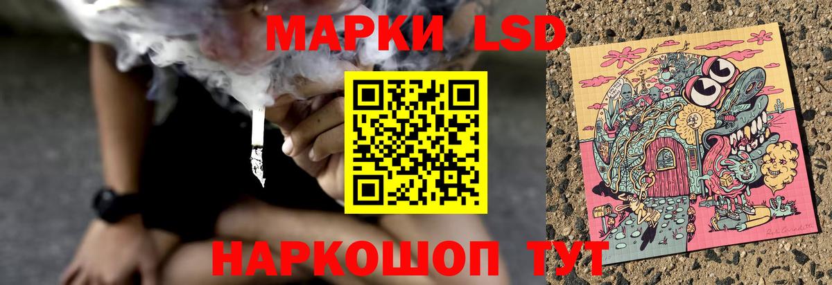 mega онион  Лсд 25 экстази ecstasy  ЛСД экстази ecstasy  LSD-25 экстази  Вход с VPN  Свободный 