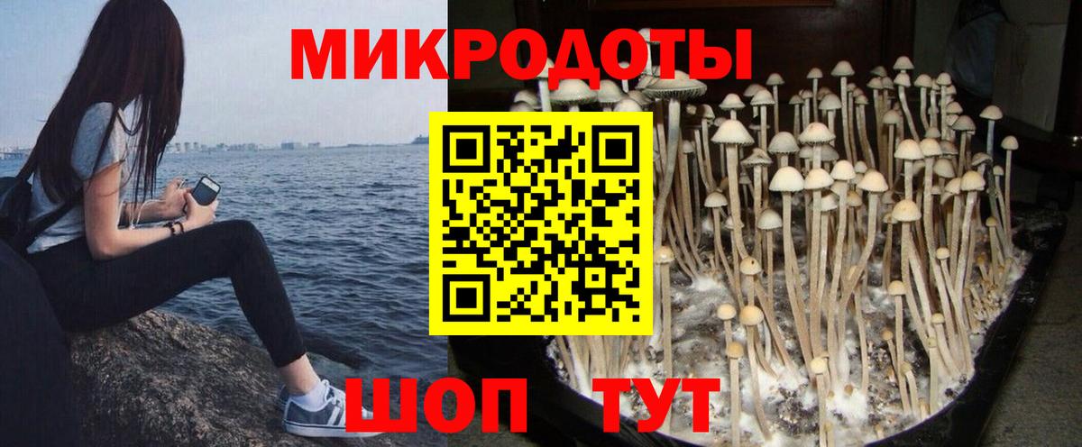 Псилоцибиновые грибы мухоморы Свободный