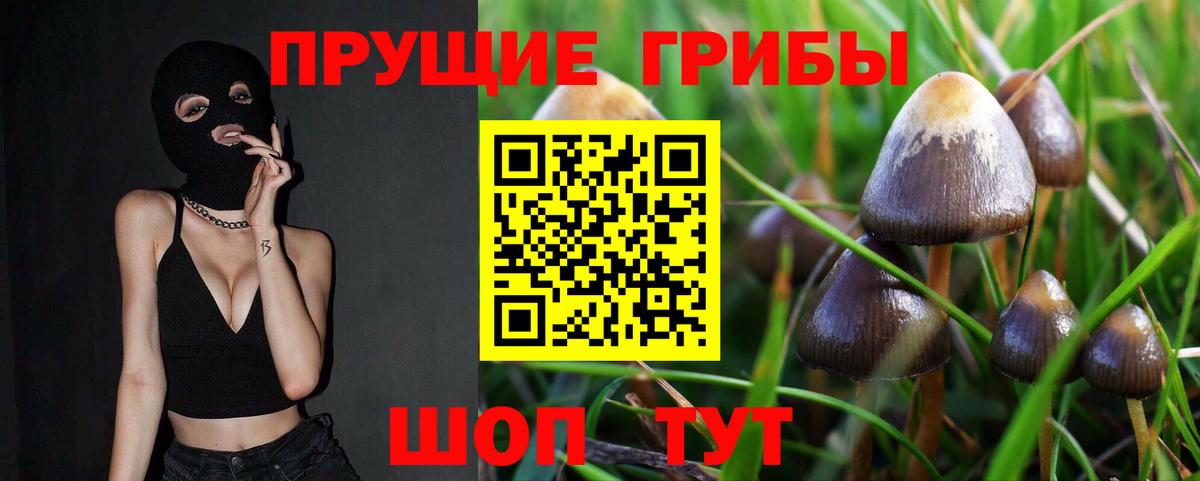 купить   Галлюциногенные грибы прущие грибы  Вход с VPN  Свободный 